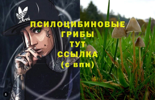 а пвп мука Алзамай