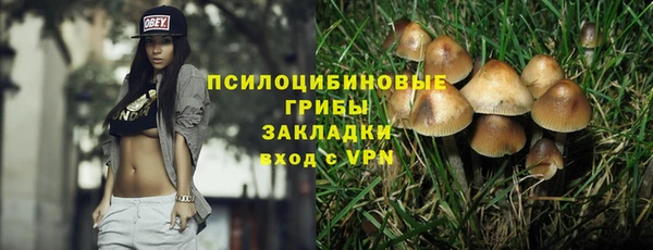 гашик Алексеевка